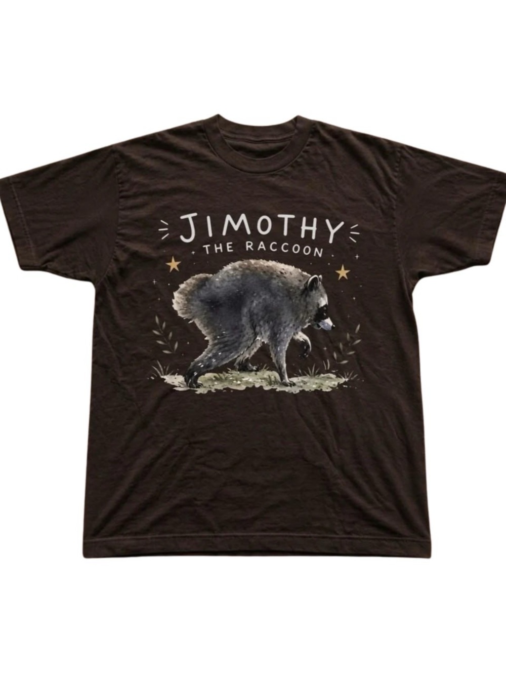 Gildan Brown Jimothy The Raccoon Graphic Tee